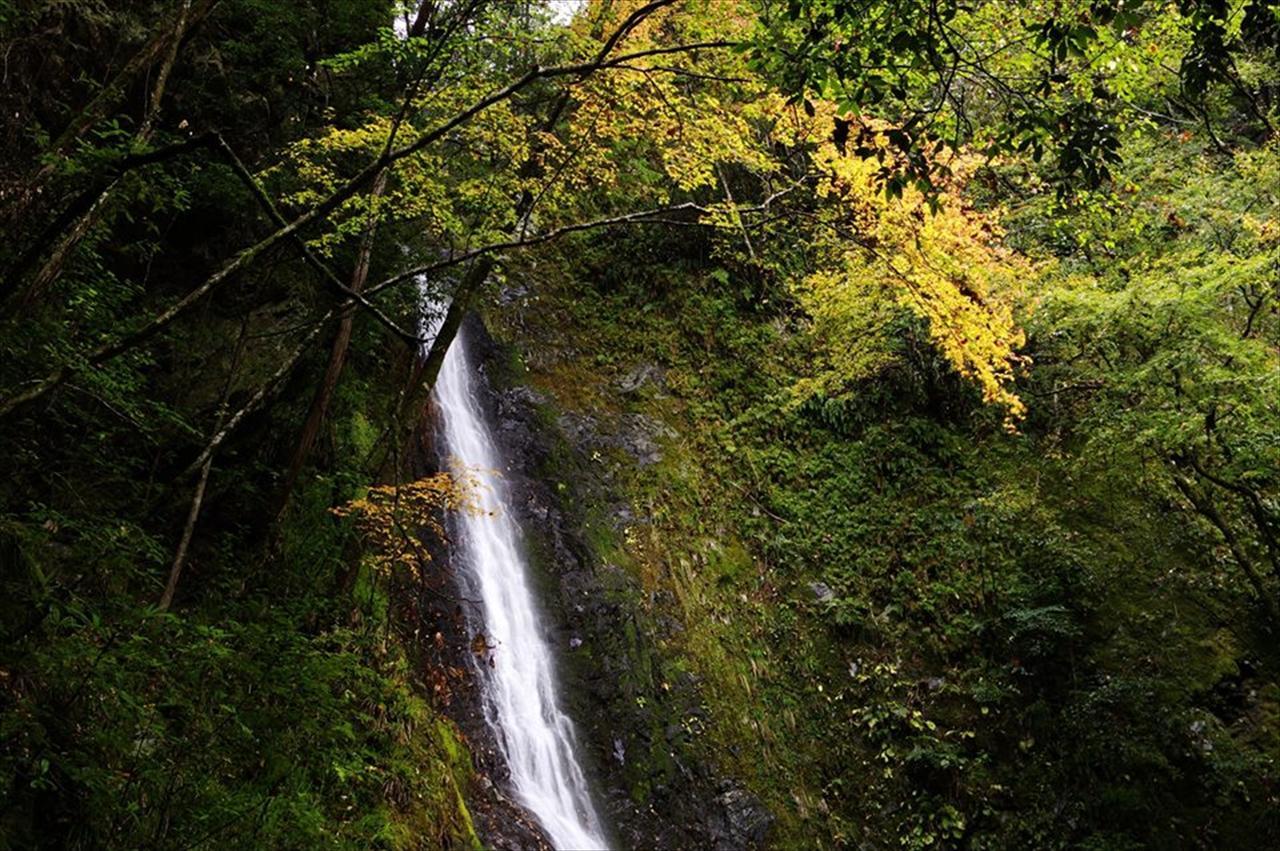 Yadori Onsen Iyashinoyu Villa Hashimoto  Luaran gambar