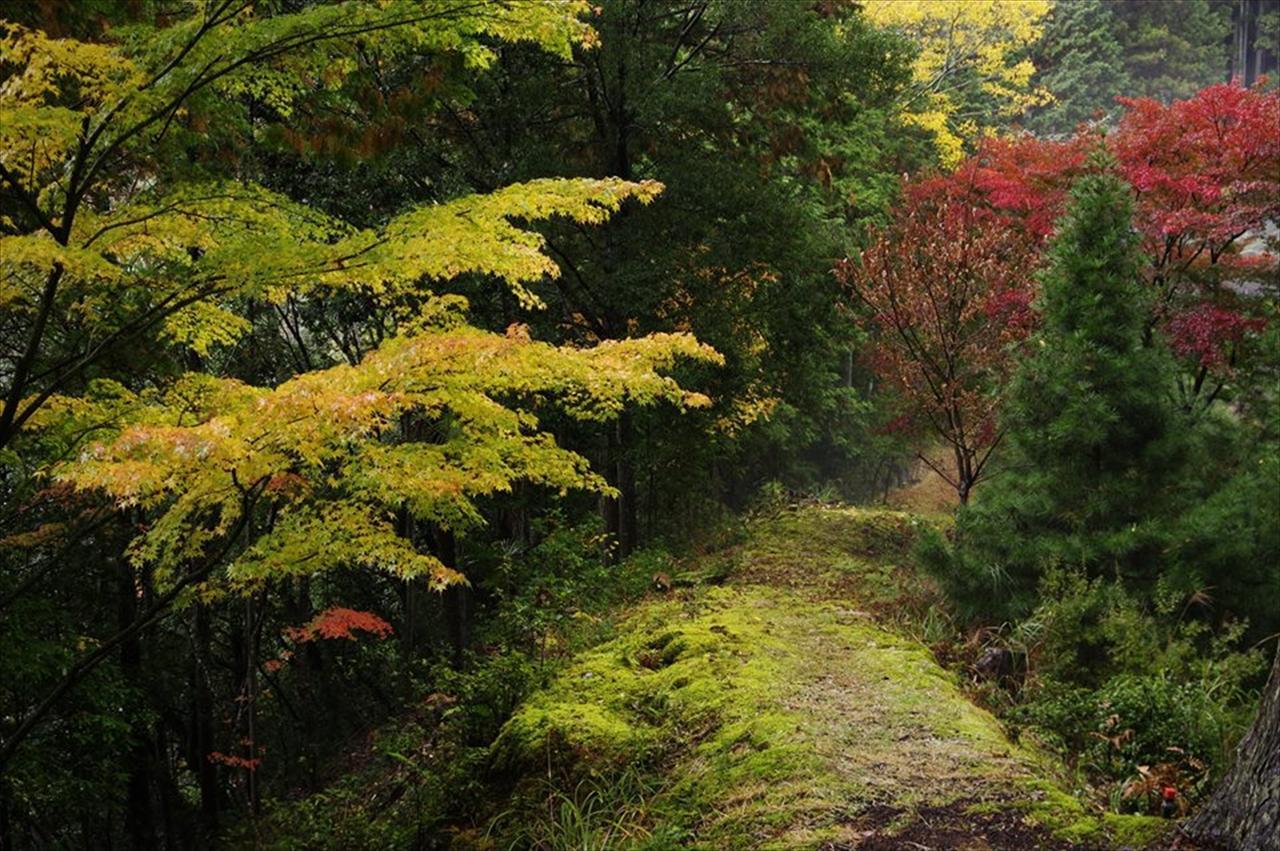 Yadori Onsen Iyashinoyu Villa Hashimoto  Luaran gambar