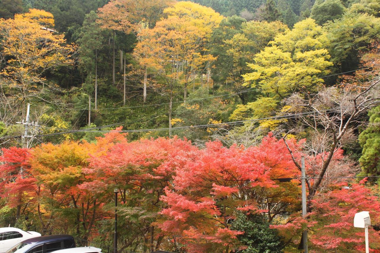 Yadori Onsen Iyashinoyu Villa Hashimoto  Luaran gambar